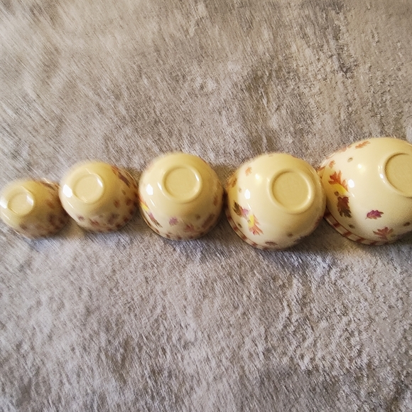 Wonderful Set of Five Melamine Nesting Measuring Cups Autumn leaves Motif - Picture 3 of 7